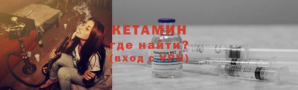 индика Елабуга