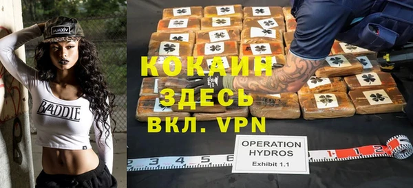 прущие грибы Осташков